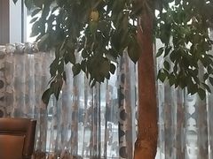 -杭州城中香格里拉大酒店