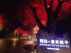 -禅驿嘉定院子-禅欢江景餐厅·中餐·户外烧烤定制(乐山大佛店)