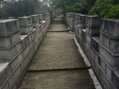 -松山湖梦幻百花洲