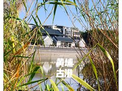 -黄埔古港