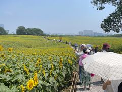 -苏州湾体育公园
