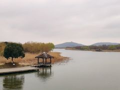 -长广溪湿地公园