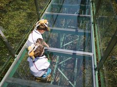 -陶祖圣境风景区