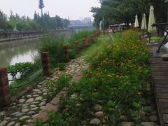 -成都市活水公园