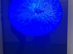 -四川大学博物馆