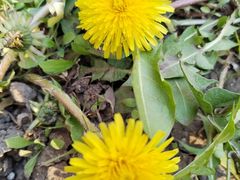 -长春公园(普阳街道)