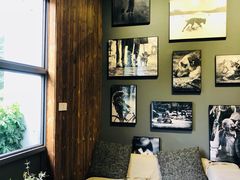 -百好乐宠物友好餐厅(朝外大街店)