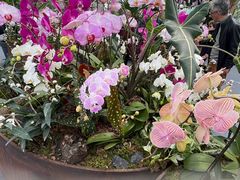 -上海鲜花港