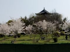 -堤角公园