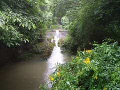 -浙东革命根据地纪念馆