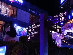 -刘姐啤酒鱼民族演艺餐厅(西街总店)