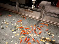 -四季民福烤鸭店(前门店)