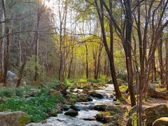 -玉渡山自然风景区