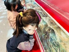 -蓝莓果幼儿园(通州梨园店)