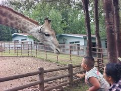 -大连森林动物园