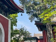 -北京艺术博物馆(万寿寺)
