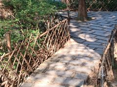 -水濂山森林公园