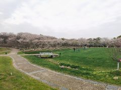 -凤凰沟景区