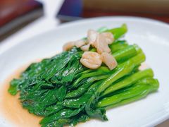 -柴门·头啖汤(天安千树店)
