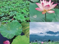 -忆咖啡观景餐厅(桂林象山公园店)