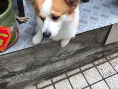 -小梁哥云吞面(黄贝岭店)