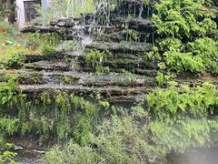 -凤来栖·净庭院·火锅(欧尚店)