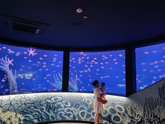 -沈阳海洋探索中心