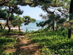 -八大关景区