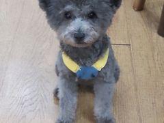 -观桥阁(锦溪店)