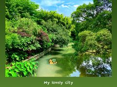 -小洲村