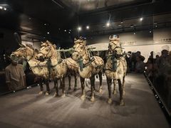 -秦始皇帝陵博物院-丽山园