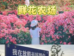 -栖露营camping·天幕烧烤·团建拓展·采摘营地