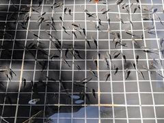 -七彩云南古滇温泉山庄