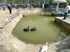 -森林公园(尖草坪区)