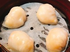 虾饺-添好运点心专门店(北角店)