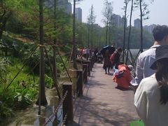 -重庆彩云湖湿地公园