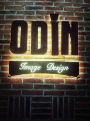 -ODIN 奥丁形象设计 