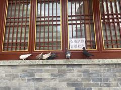 -南锣鼓巷