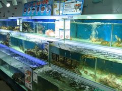 水产区-盒马鲜生(岭南新世界店)