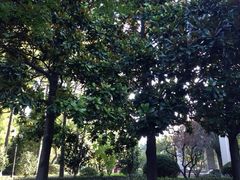 iphone_upload_pic-上海虹桥迎宾馆