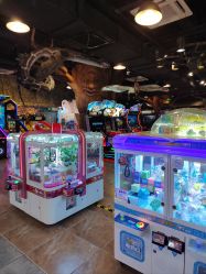 -卡通尼·Safari非洲探索乐园·生日会(金桥国际商业广场店)