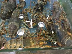 水产区-东江海鲜酒家(艺都分店)