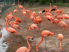 -鄂尔多斯野生动物园