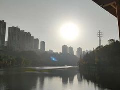 -重庆彩云湖湿地公园