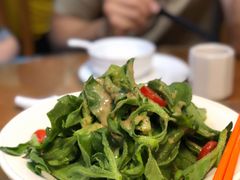以色列冰菜-一心斋素食馆(龙岗店)