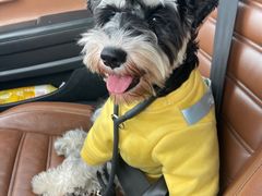 -美联众合动物医院(·中兽医·疑难杂症·严家桥分院)