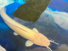 -鸿通城购物中心