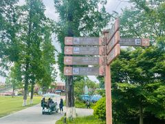 -黄海国家森林公园