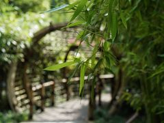 -望江楼公园