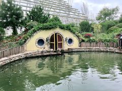 -南宫五洲植物乐园